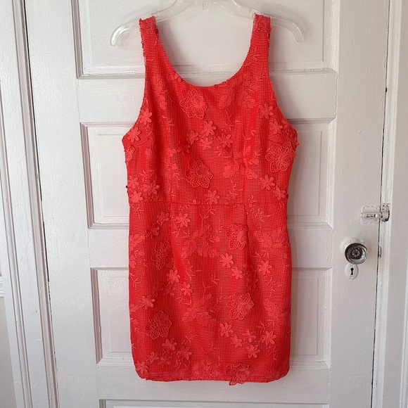 Romeo & Juliet Couture Floral Lace Mini Sheath Dress Cotton Vibrant Coral Large - Picture 14 of 15